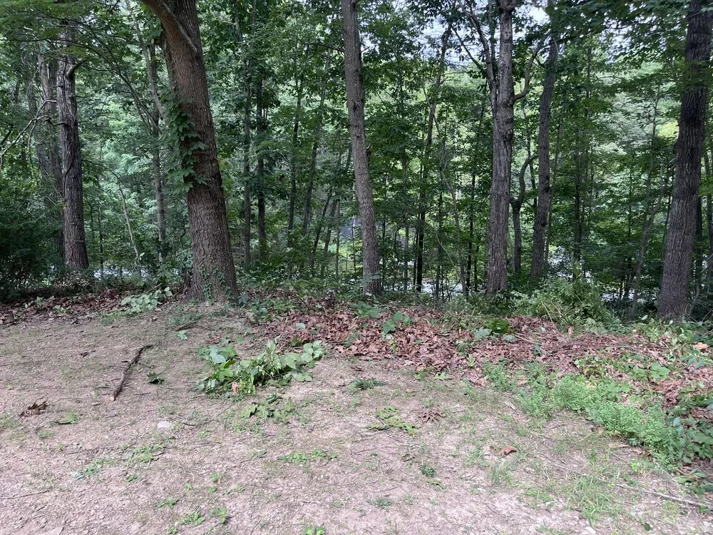 Local yard maintenance for outdoor upgrades in Front Royal, VA by In God We Trust Handyman