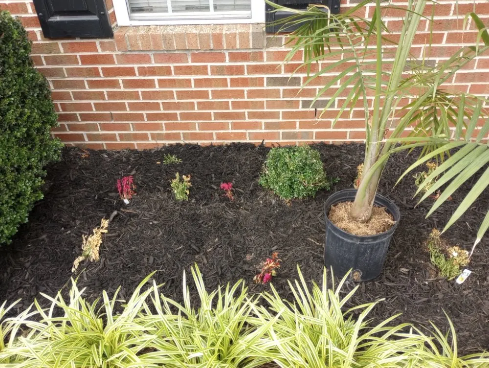 Professional landscape installation in Fayetteville, NC by In God We Trust yard care