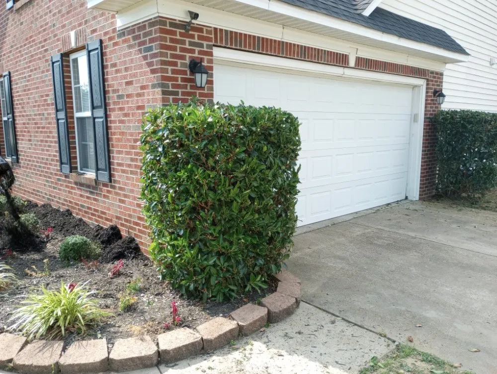 Professional landscape design near you across Fayetteville, NC - In God We Trust yard care
