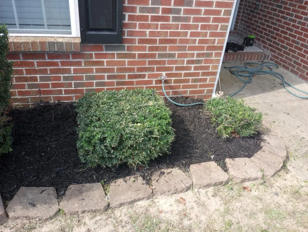 Custom lawn mowing service for homes in Fayetteville, NC by In God We Trust yard care