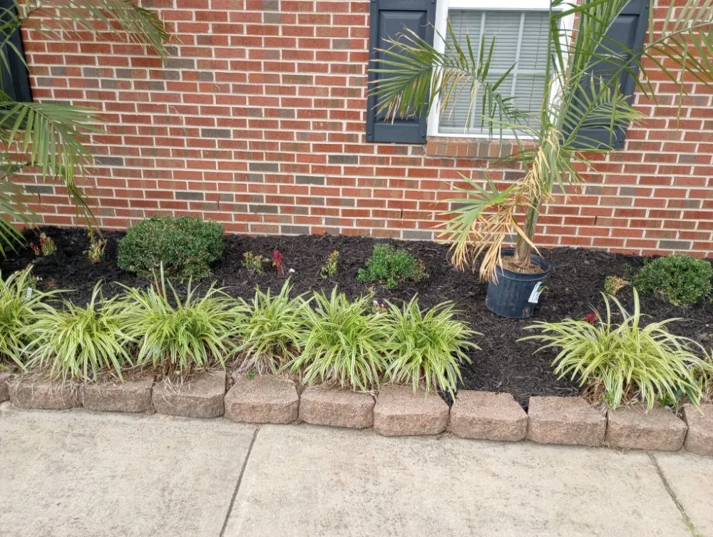 Expert residential landscaping in Fayetteville, NC by In God We Trust yard care