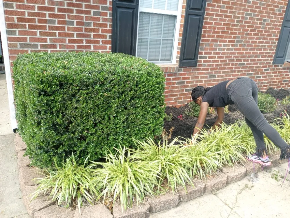 Affordable lawn care service in Fayetteville, NC - In God We Trust yard care