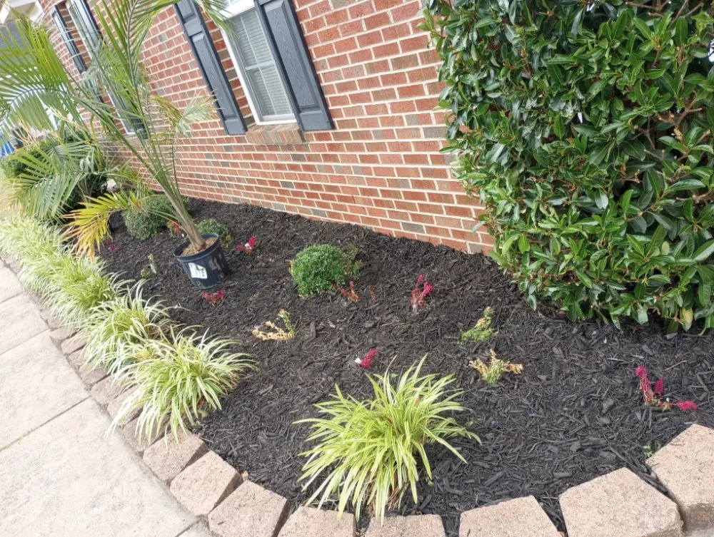 Affordable yard maintenance experts serving Fayetteville, NC - In God We Trust yard care