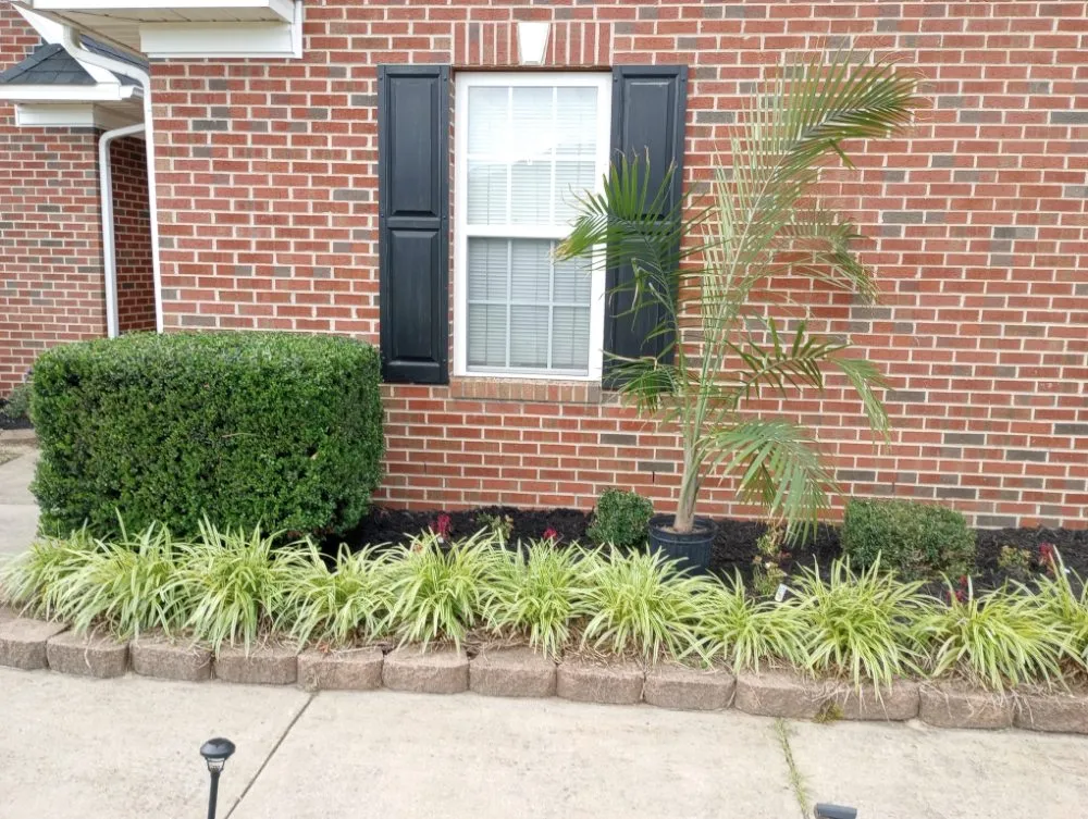 Affordable garden landscaping experts serving Fayetteville, NC - In God We Trust yard care