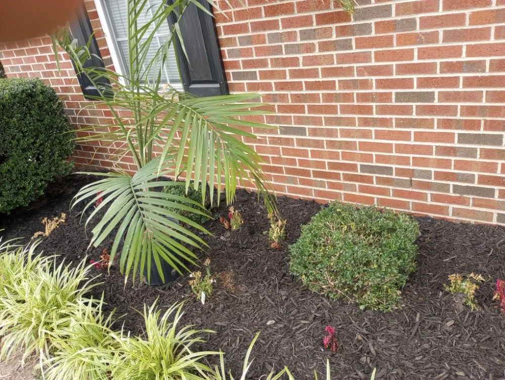 Custom outdoor landscaping experts serving Fayetteville, NC - In God We Trust yard care