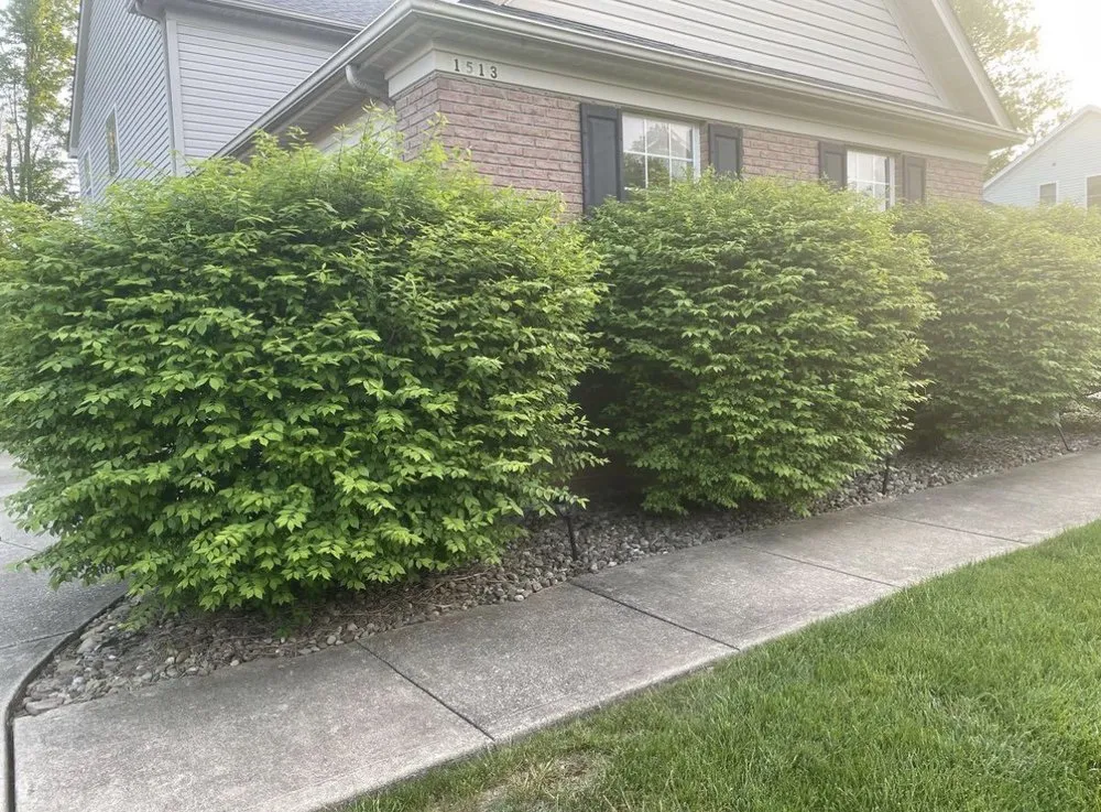 Local garden landscaping in Stow, OH - In Gods Hands Lawn & Tree Service