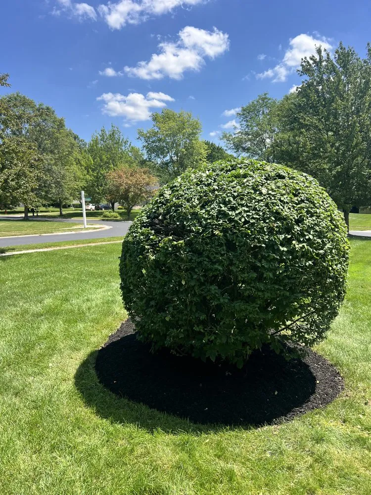 Local garden landscaping in Stow, OH by In Gods Hands Lawn & Tree Service