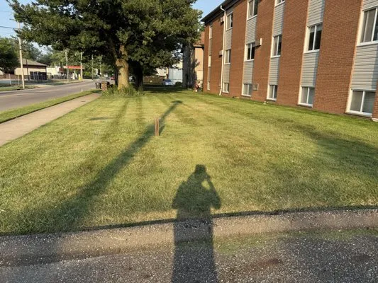 In Gods Hands Lawn & Tree Service