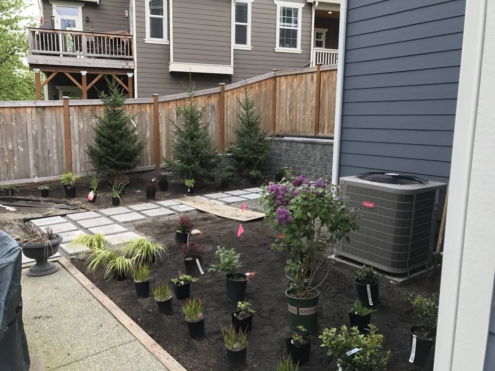 Reliable yard cleanup service in Bothell, WA - In Harmony Sustainable Landscapes