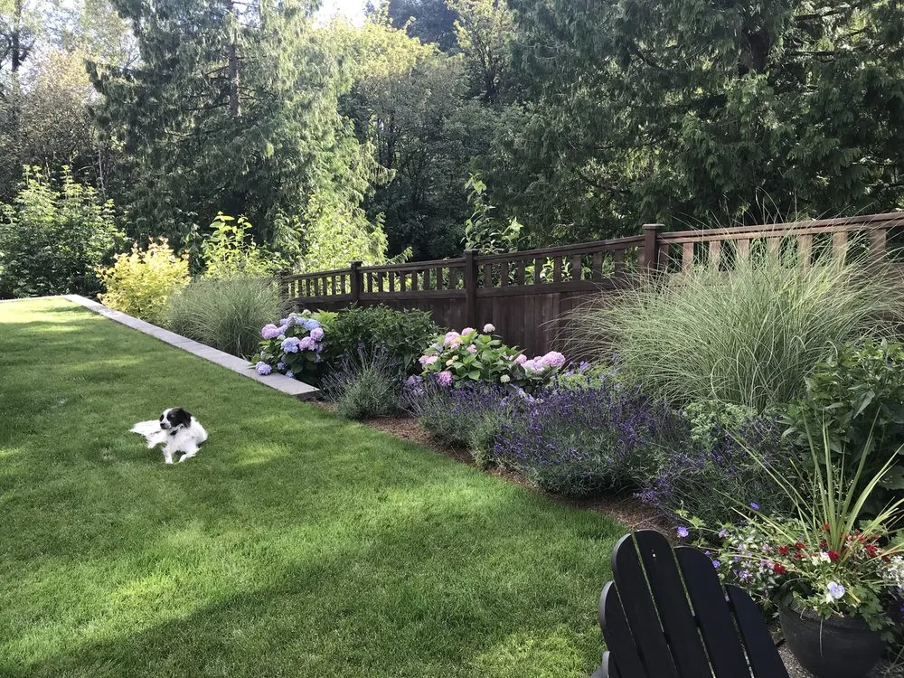 Affordable lawn mowing service for beautiful yards in Bothell, WA by In Harmony Sustainable Landscapes
