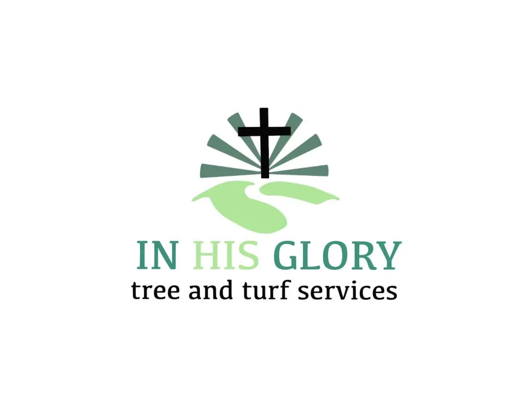 Local yard cleanup service for residential properties in Fivepoints, AL by In HIS Glory Tree and Turf Services