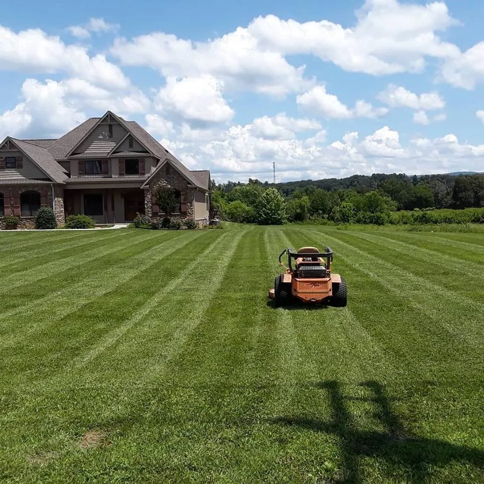 Professional yard cleanup service in Maryville, TN - In His Image Lawn Care & Landscaping