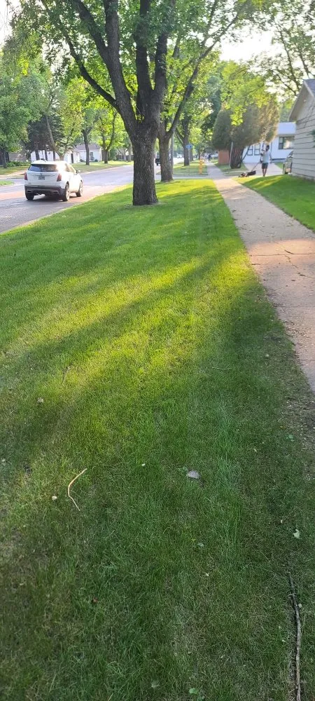 Local garden landscaping in grand forks, ND - In It Tribe Solutions