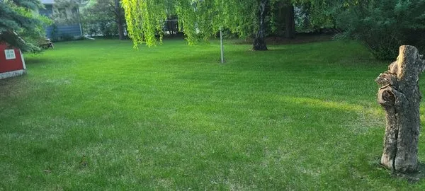 In It Tribe Solutions Logo