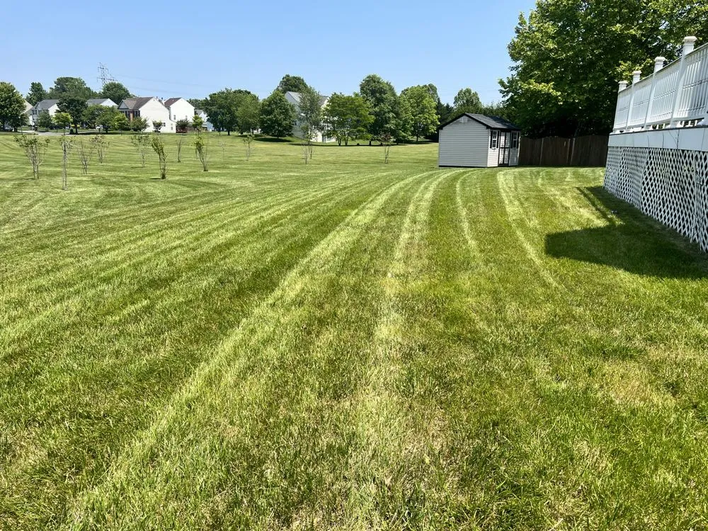 Affordable yard cleanup service near you across Cheltenham, MD - In Motion Lawn Care