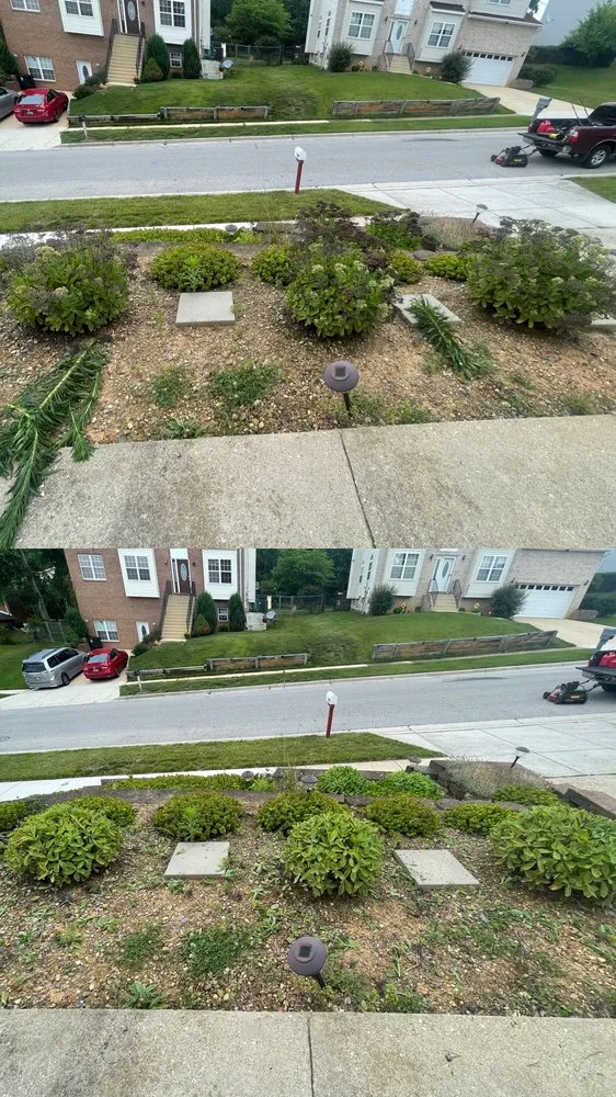 Affordable yard maintenance for year-round maintenance in Cheltenham, MD by In Motion Lawn Care