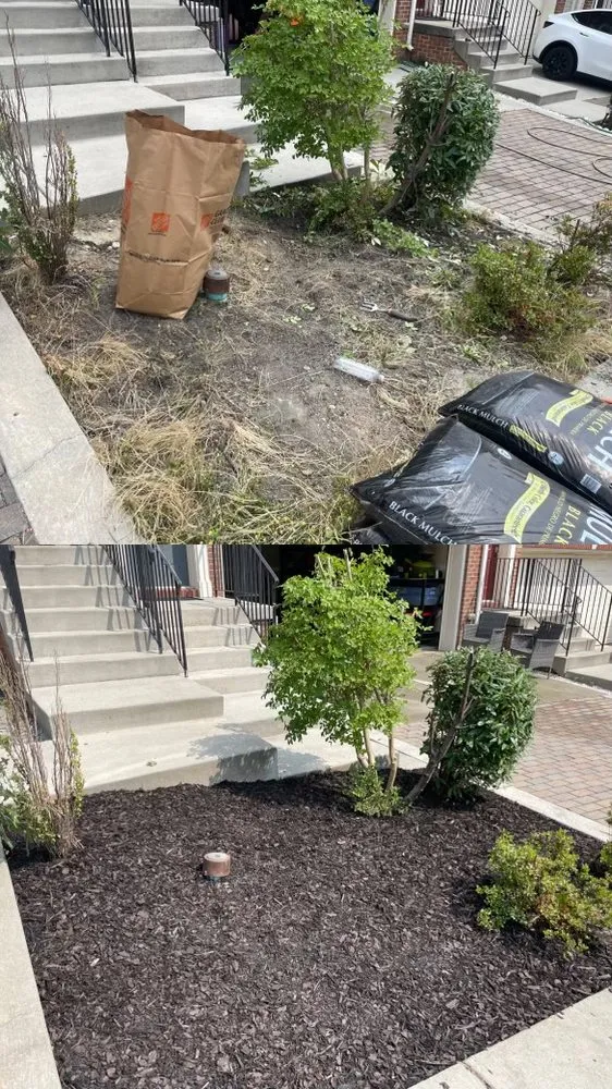 Expert residential landscaping in Cheltenham, MD - In Motion Lawn Care