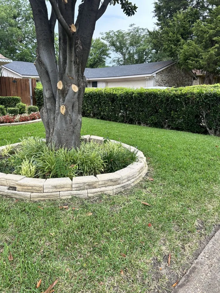 Professional landscape installation in Lancaster, TX by In Motion Services