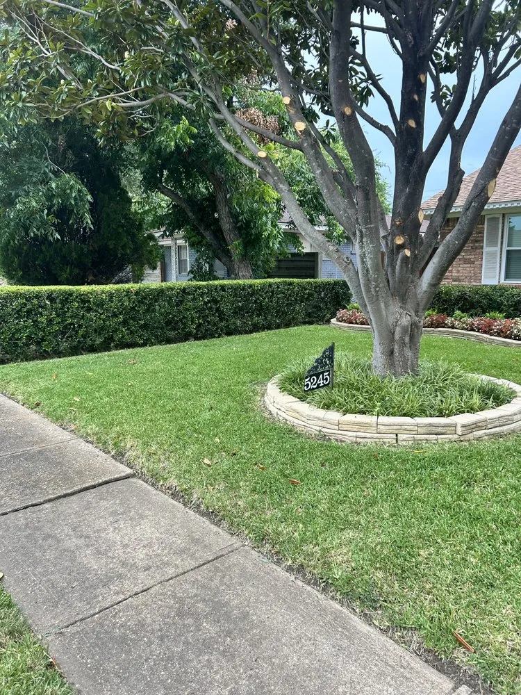 Trusted landscape installation for homes across Lancaster, TX - In Motion Services