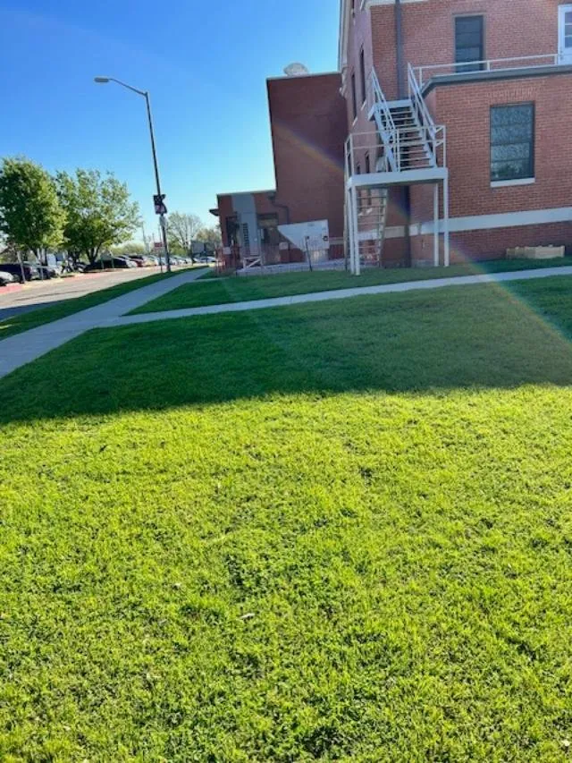 Affordable yard cleanup service in Lancaster, TX by In Motion Services