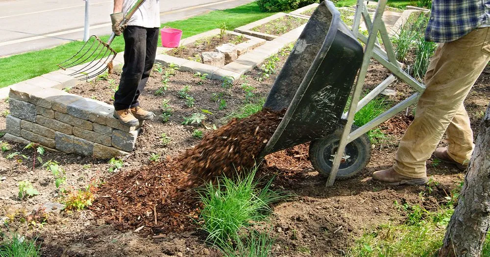 Local landscape installation for beautiful yards in Arden, NC by In n' Out Lawncare and Housekeeping