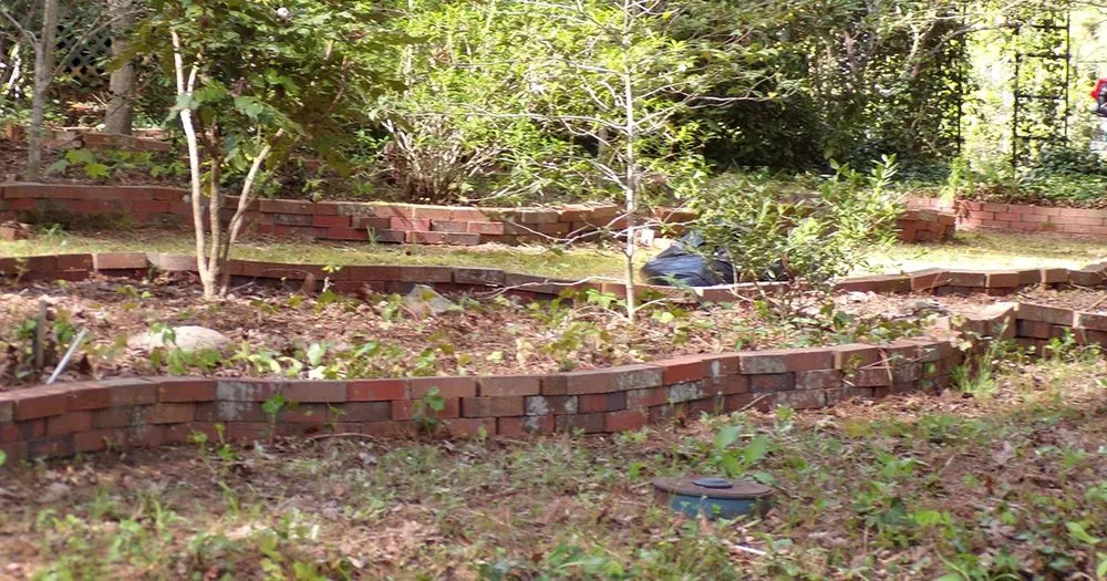 Trusted yard cleanup service experts serving Arden, NC - In n' Out Lawncare and Housekeeping