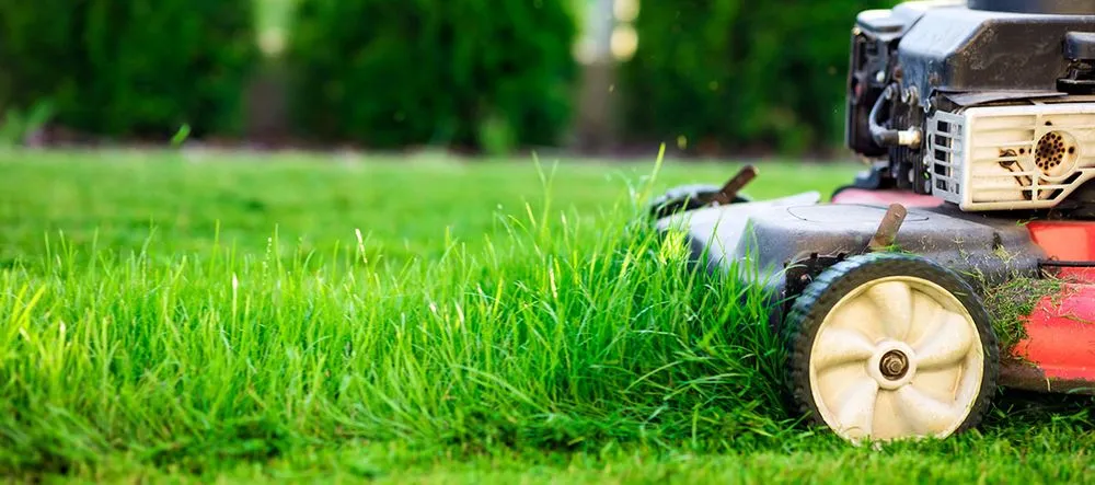 Affordable landscape installation for outdoor upgrades in Arden, NC by In n' Out Lawncare and Housekeeping