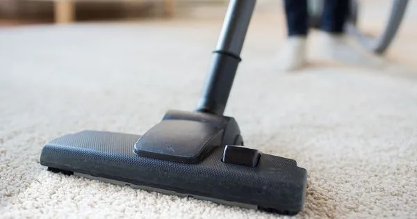 In n' Out Lawncare and Housekeeping Logo