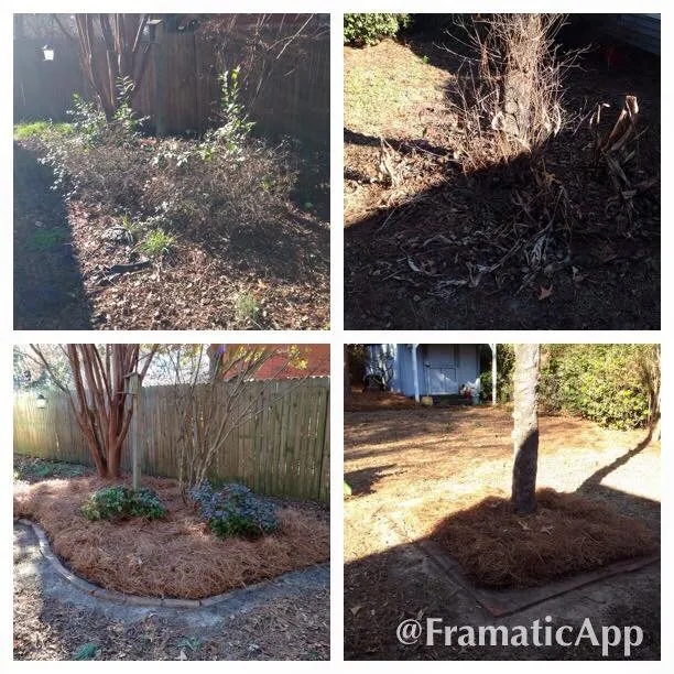 Top-rated yard cleanup service in Lexington, SC - In Season Landscape Maintenance