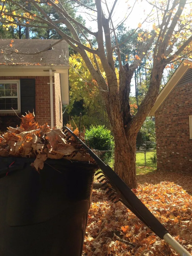 Expert residential landscaping in Lexington, SC - In Season Landscape Maintenance