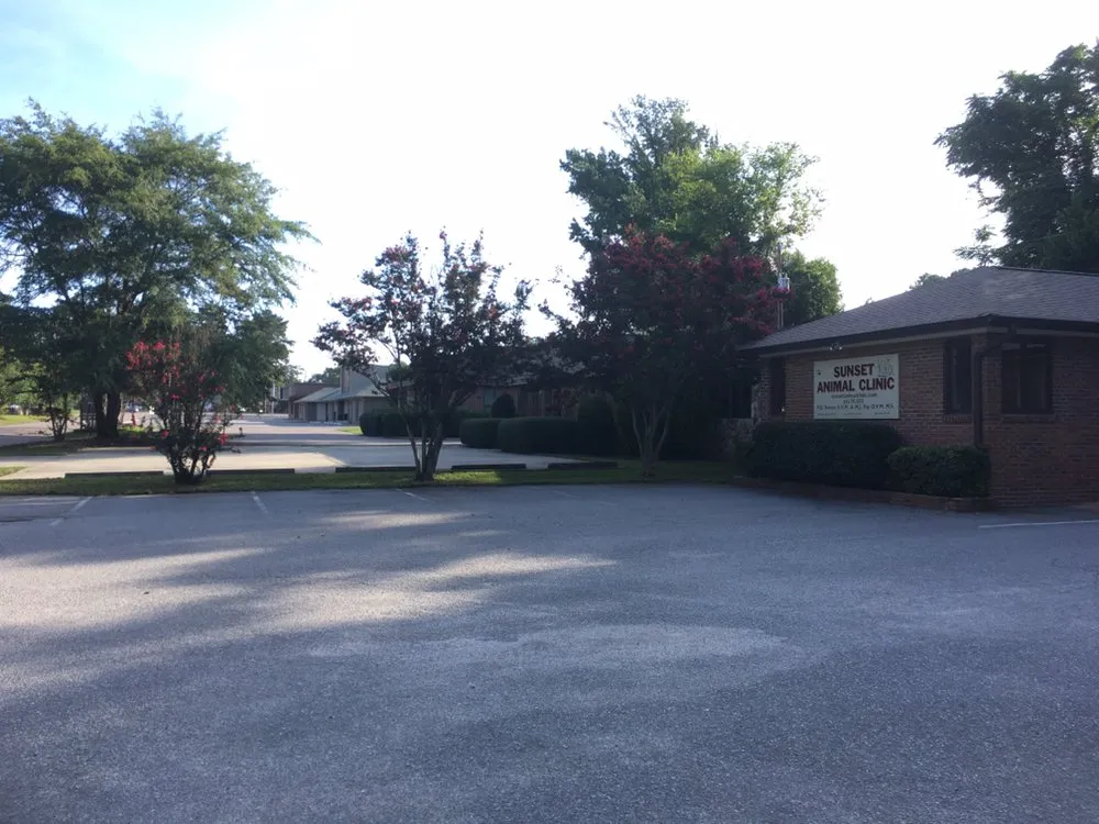 Expert garden landscaping experts serving Lexington, SC - In Season Landscape Maintenance