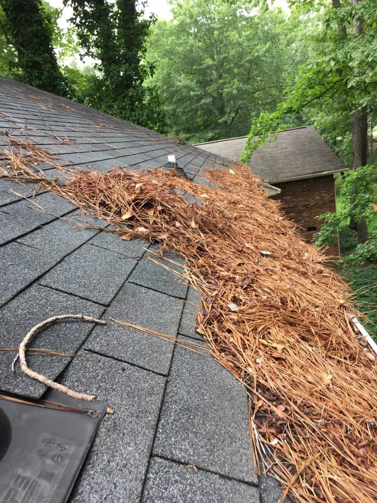 Top-rated garden landscaping in Lexington, SC - In Season Landscape Maintenance