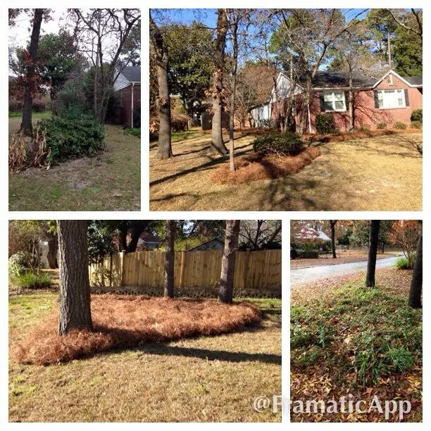 Custom landscaping services for year-round maintenance in Lexington, SC by In Season Landscape Maintenance