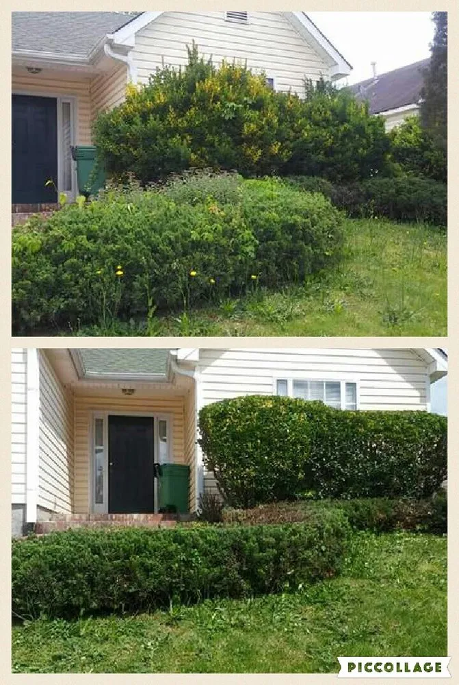 Affordable landscape design experts serving McDonough, GA - In-Shape Lawn Service