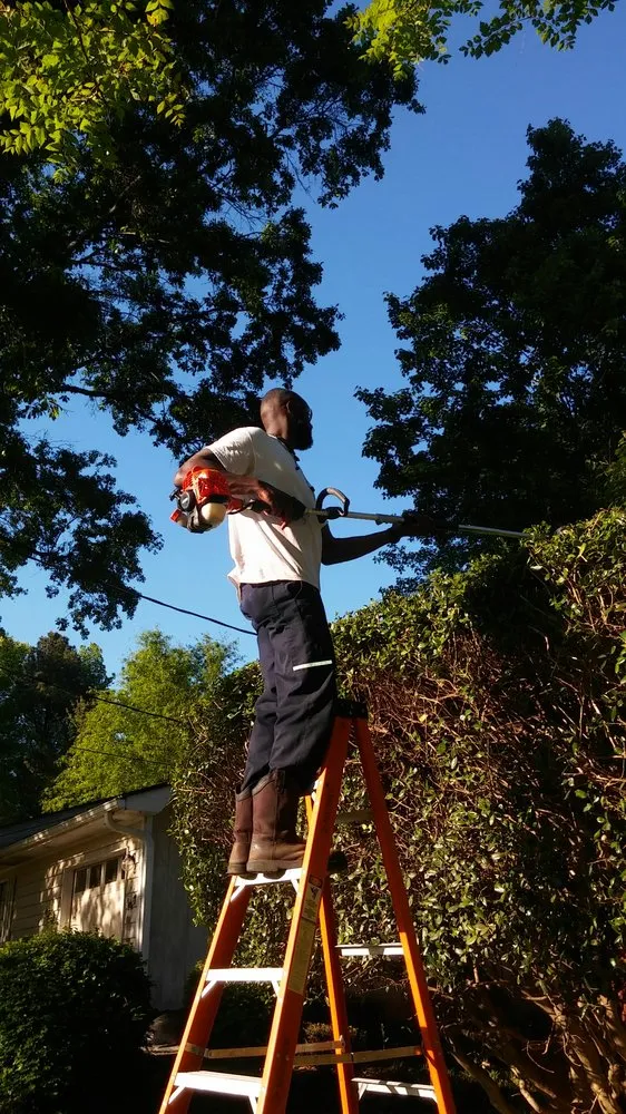 Expert landscape installation for residential properties in McDonough, GA by In-Shape Lawn Service