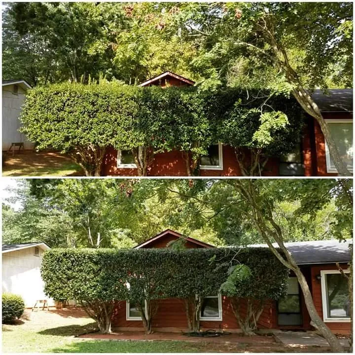 Professional lawn care service for residential properties in McDonough, GA by In-Shape Lawn Service