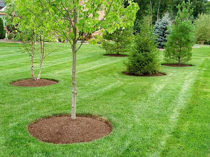 Expert landscape design with custom design across Berlin Township, MI - In Syts Landscaping