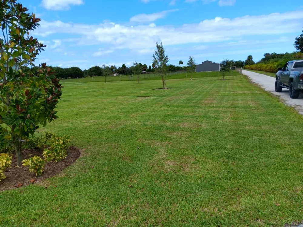 Trusted landscaping services with custom design in Vero Beach, FL by In The Cut Landcaping