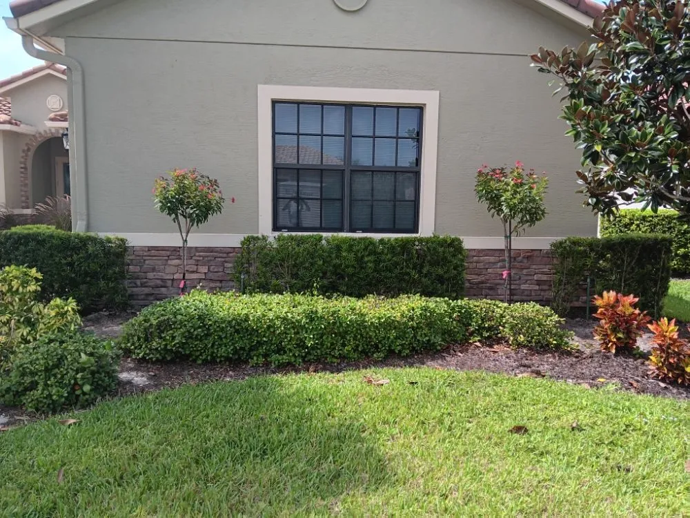 Reliable yard cleanup service for residential properties in Vero Beach, FL by In The Cut Landcaping