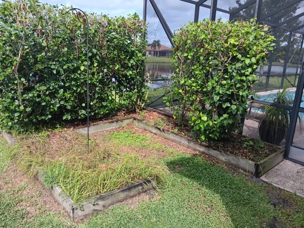 Local yard maintenance with custom design in Vero Beach, FL by In The Cut Landcaping