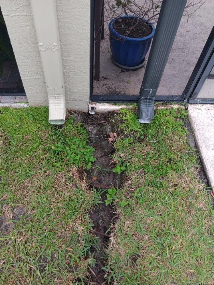 Reliable yard cleanup service for year-round maintenance across Vero Beach, FL - In The Cut Landcaping