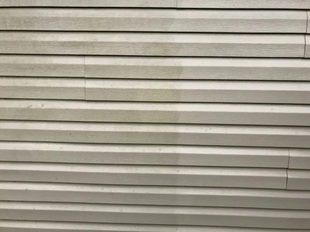 Local landscaping services experts serving Milton, FL - In The Green