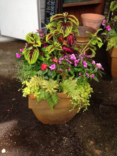 Professional landscape installation experts serving Chelsea, AL - In the Roots