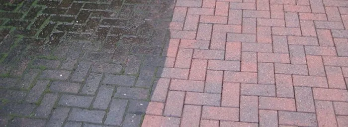 Local garden landscaping for homes across Chelsea, AL - In the Roots