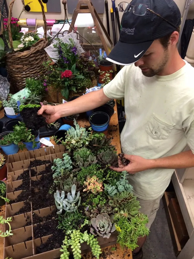 Reliable lawn mowing service in Chelsea, AL by In the Roots