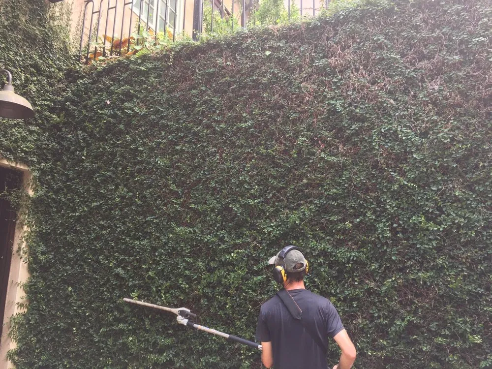 Trusted outdoor landscaping experts serving Chelsea, AL - In the Roots