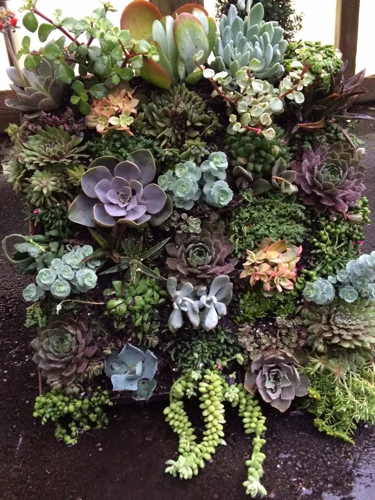 Trusted lawn care service in Chelsea, AL - In the Roots