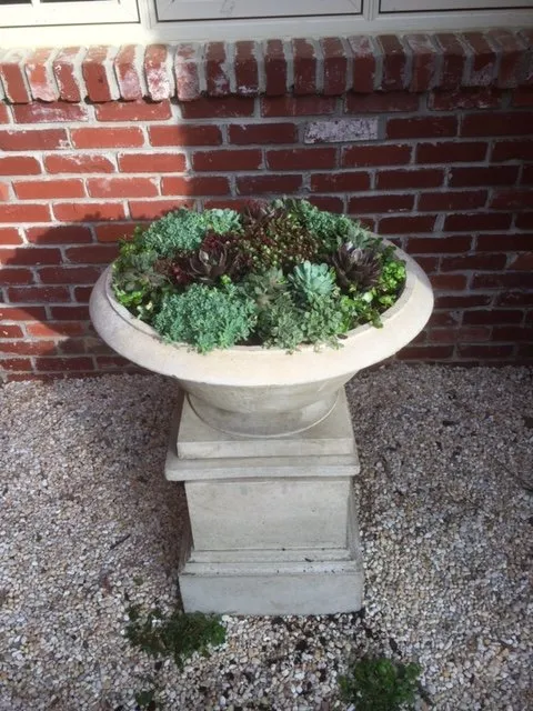 Custom yard cleanup service near you in Chelsea, AL by In the Roots