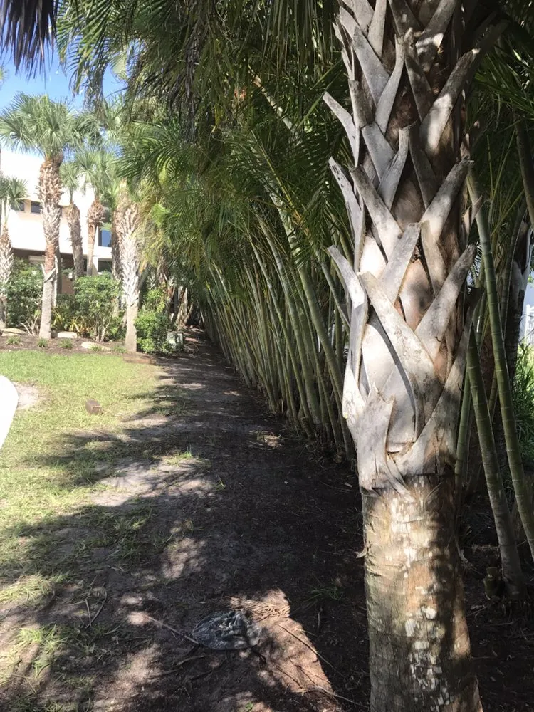 Trusted lawn mowing service in Vero Beach, FL by In the Son Lawn Maintenance