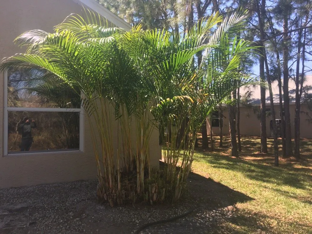 Custom residential landscaping with custom design across Vero Beach, FL - In the Son Lawn Maintenance